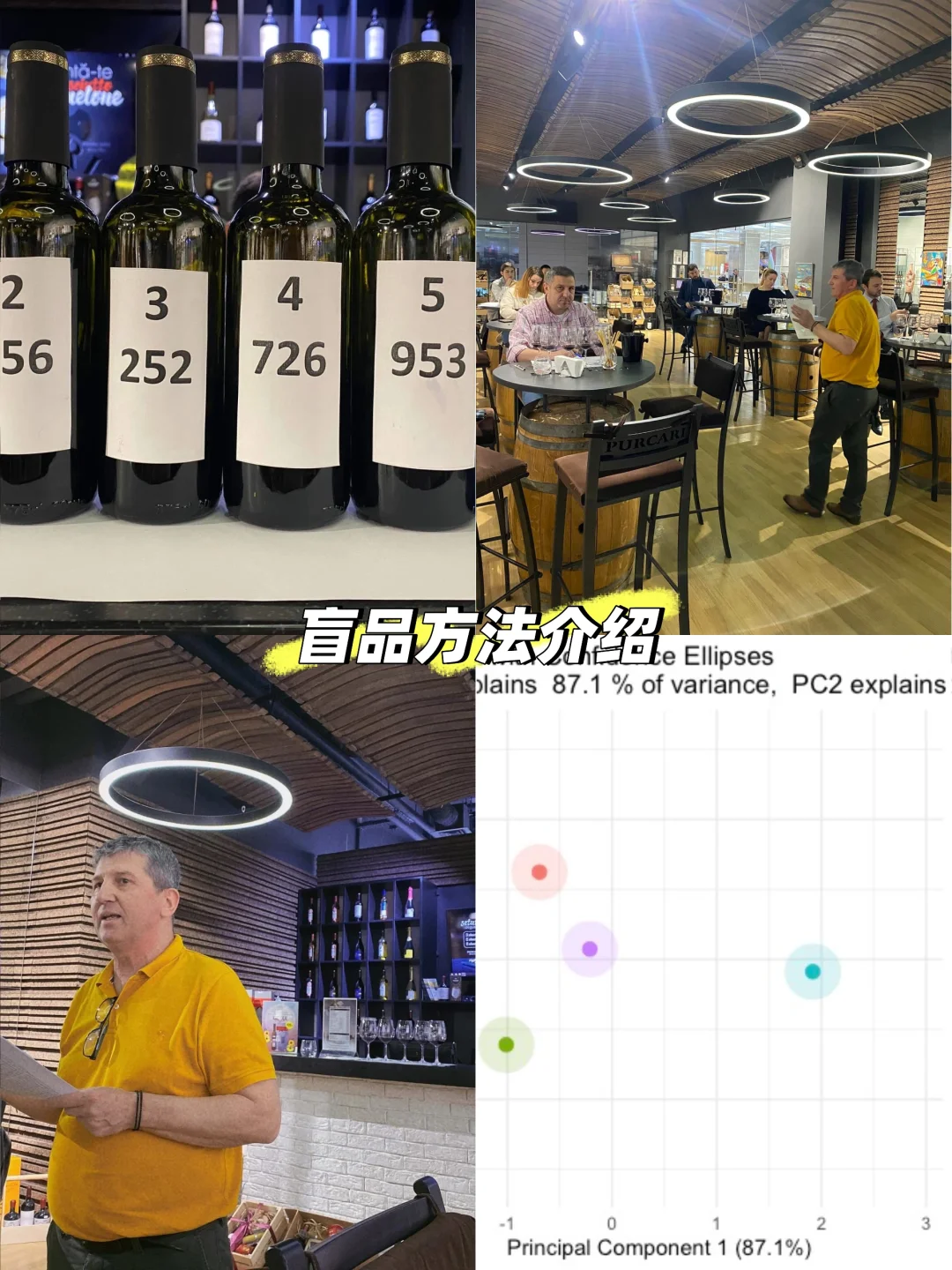 Napping感官评测方法：快速捕捉葡萄酒的整体