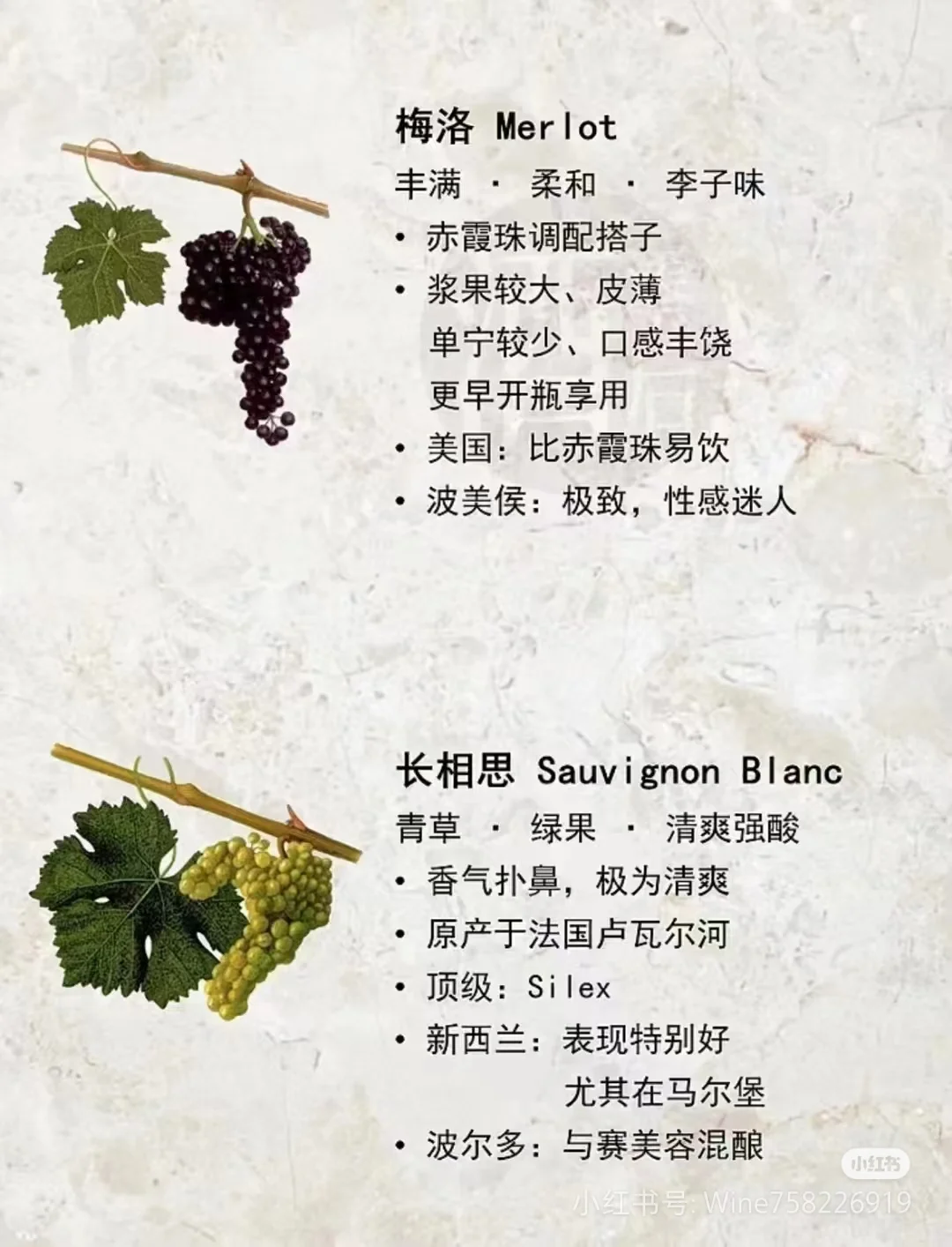 酿葡萄酒的葡萄品种