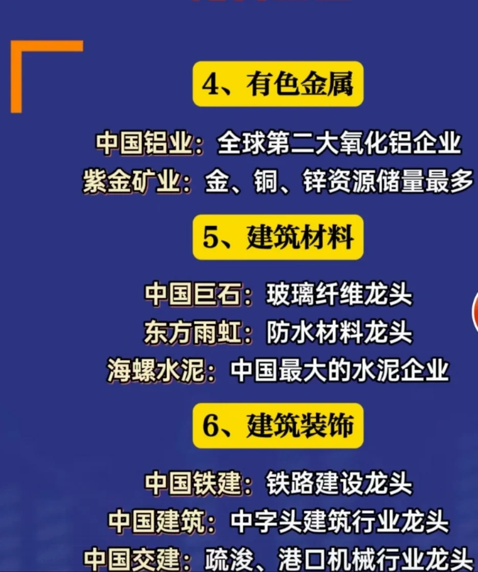 各行业代表性龙头企业!未完
