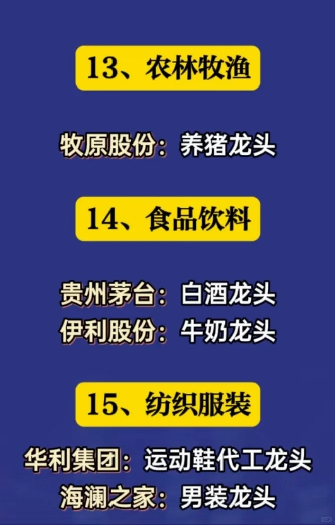 各行业代表性龙头企业!未完