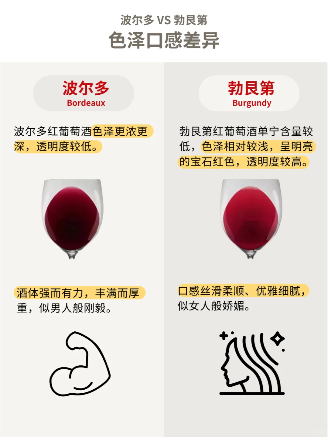 波尔多VS勃艮第，全面对比大揭秘㊙️