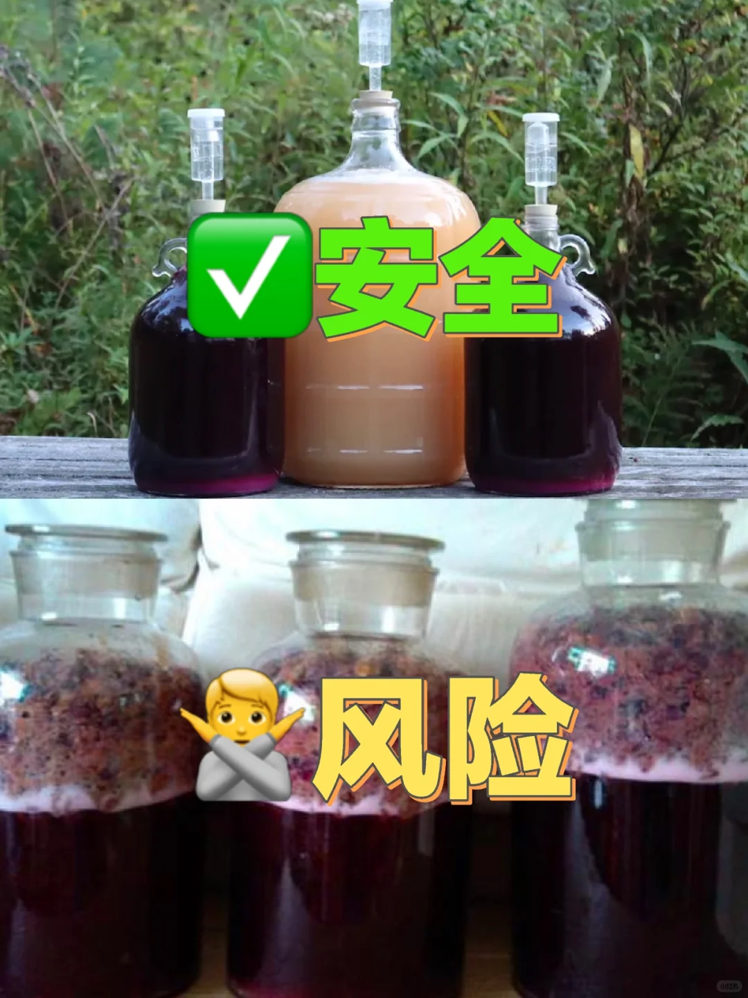 自酿葡萄酒必看，如何减少甲醇不中毒
