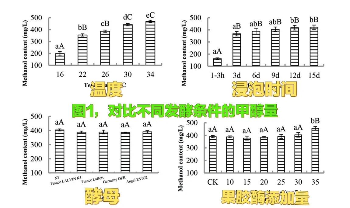 自酿葡萄酒必看，如何减少甲醇不中毒
