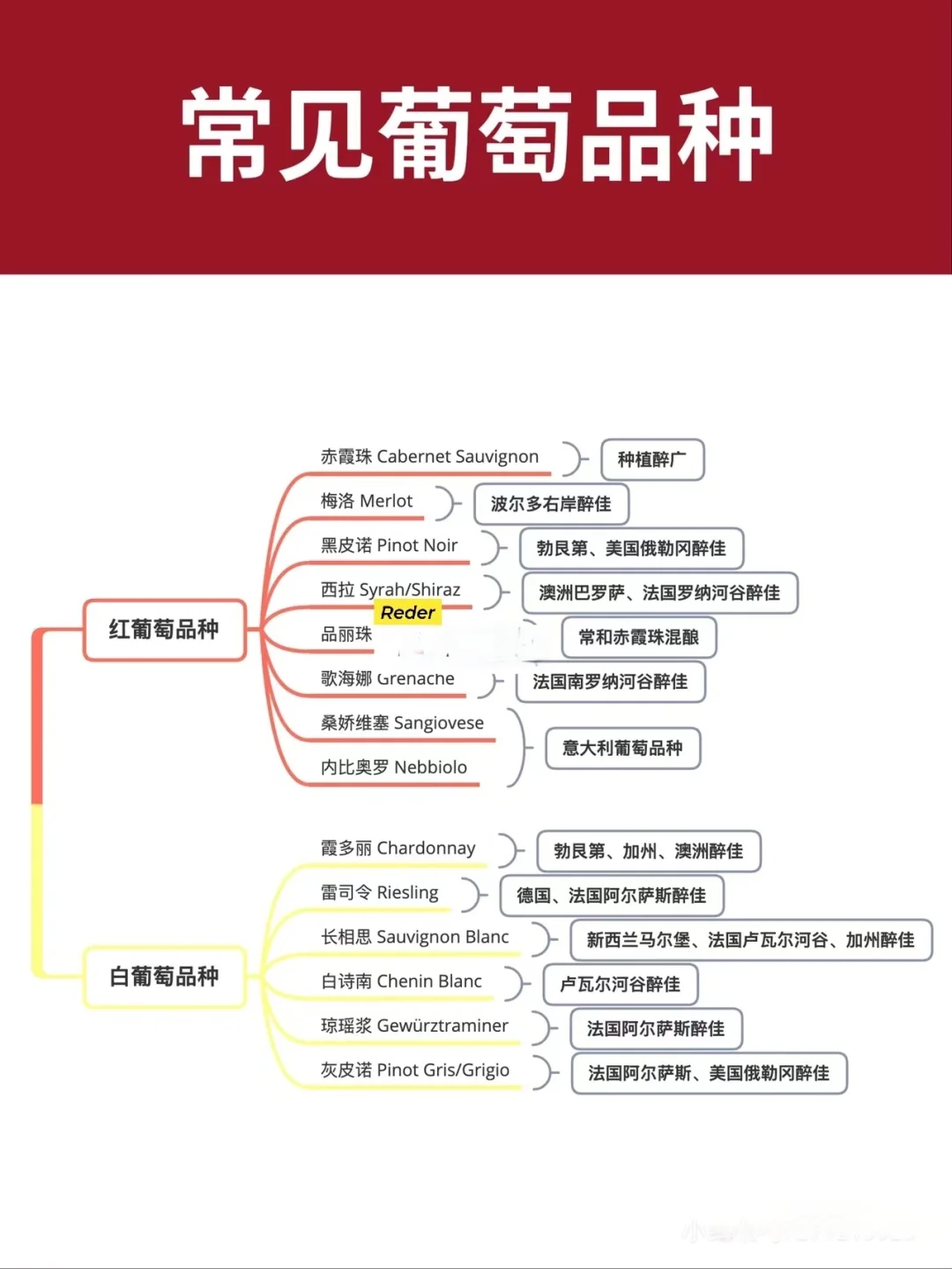 ?3分钟葡萄酒达人速成‼️必备葡萄酒干