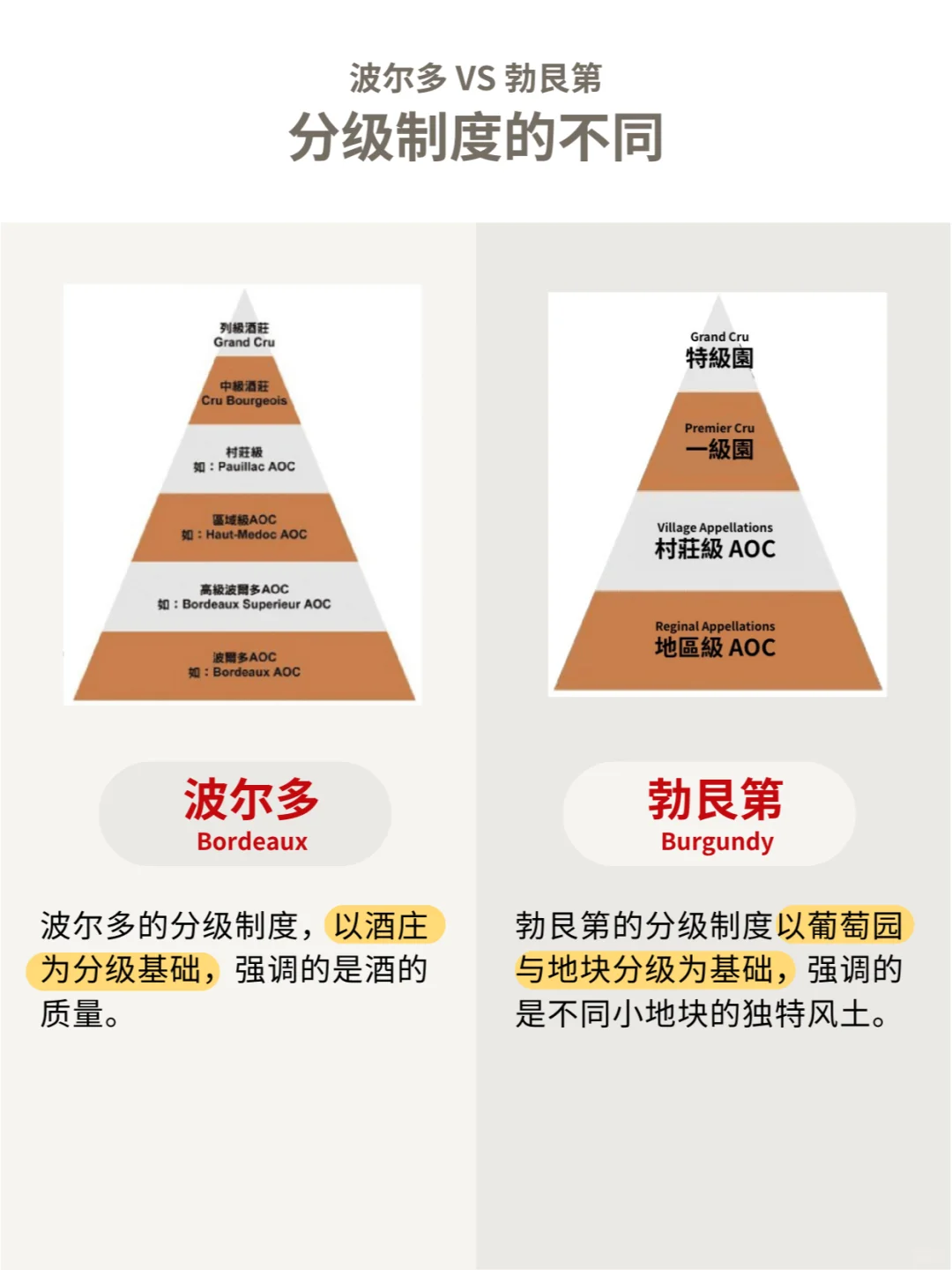 波尔多VS勃艮第，全面对比大揭秘㊙️