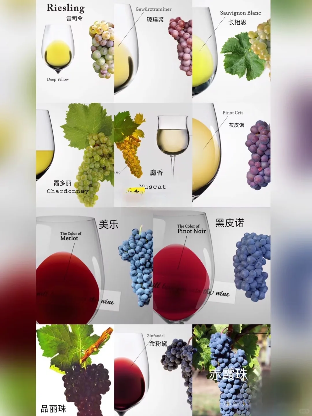 ?3分钟葡萄酒达人速成‼️必备葡萄酒干