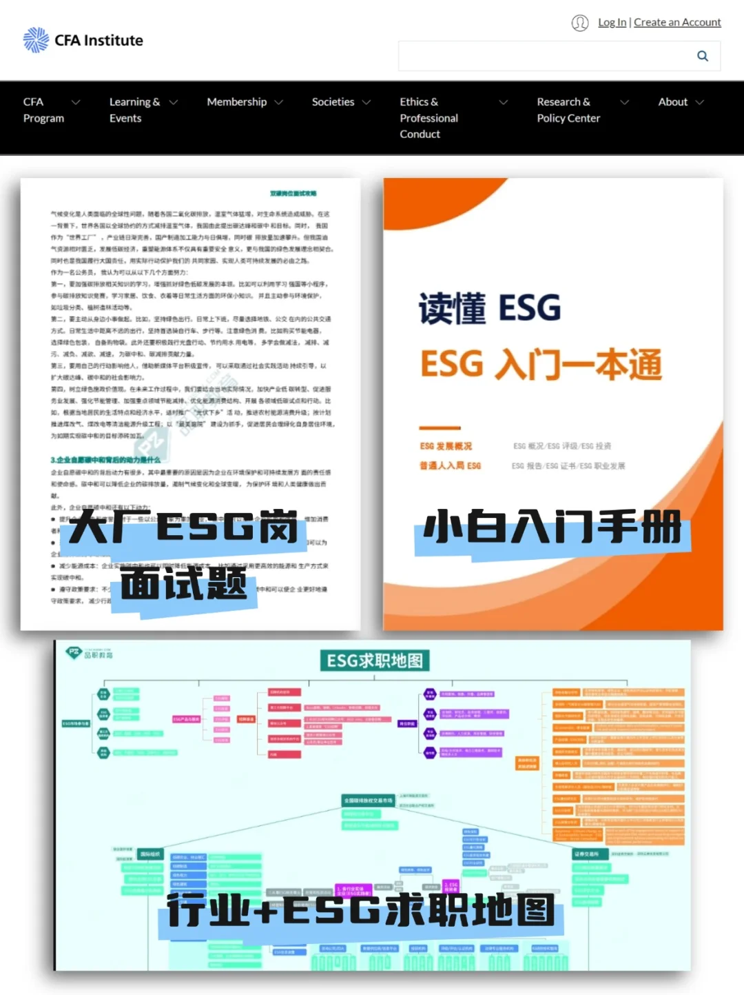 食品的宝子们，收拾收拾准备升咖‼️