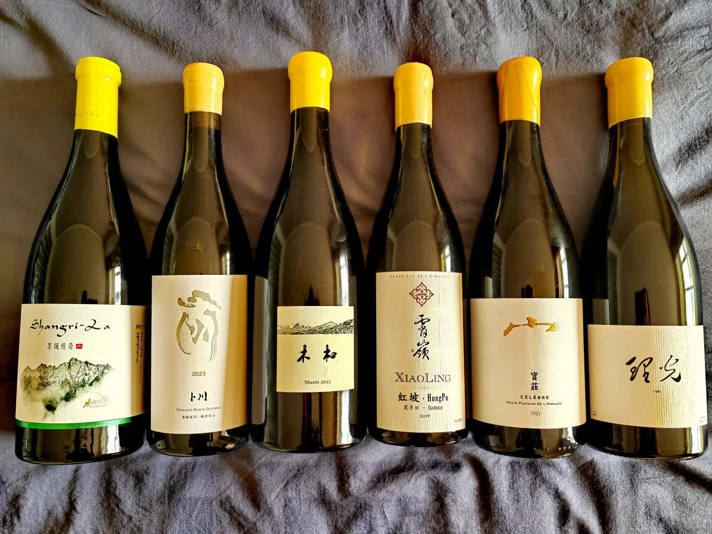 云南白集齐，择吉日出去溜溜?干中学?