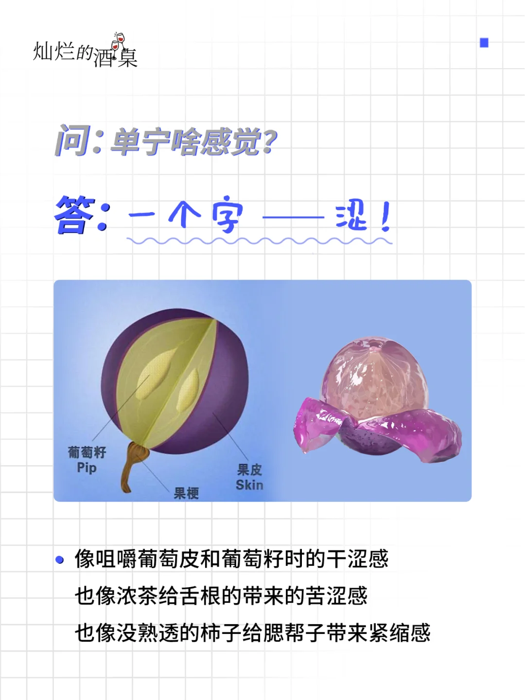 ?葡萄酒灵魂五十问-专访神秘的“单宁”