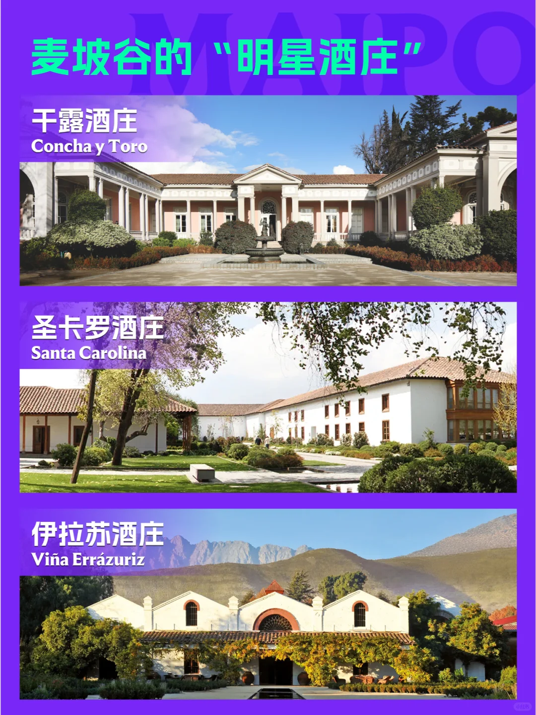 麦坡谷：智利葡萄酒界的“宝藏山谷” 