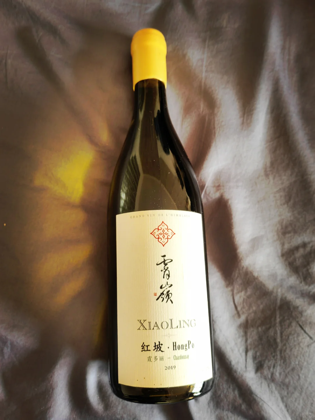 云南白集齐，择吉日出去溜溜?干中学?