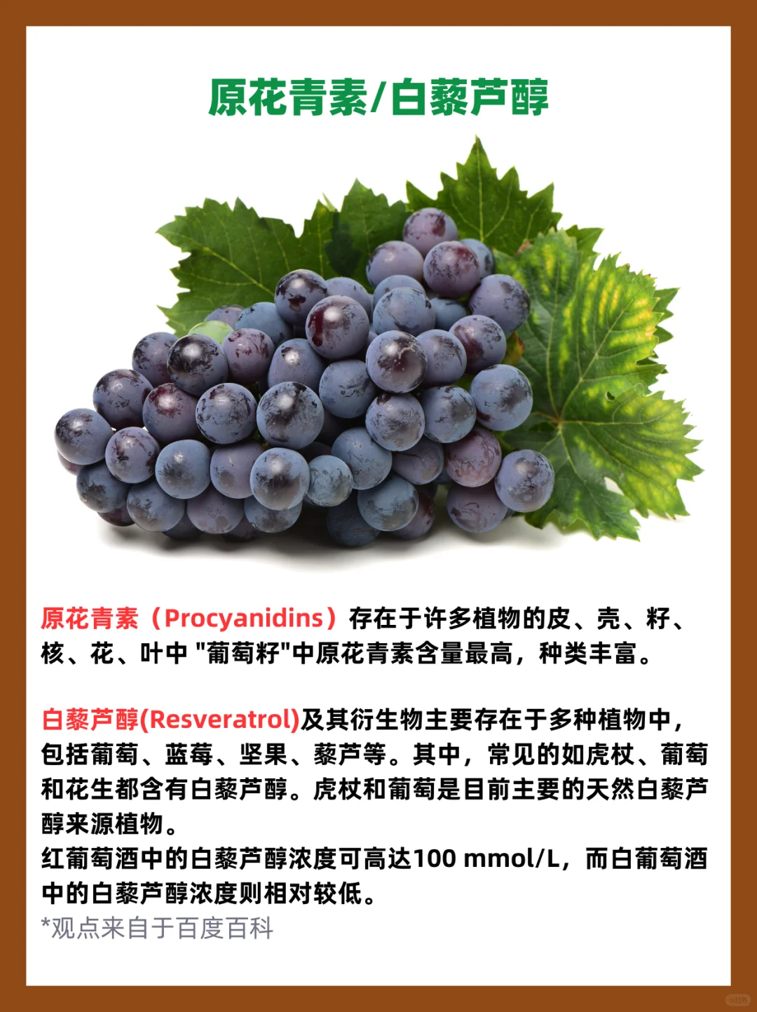 喝适量葡萄酒有益健康⁉️