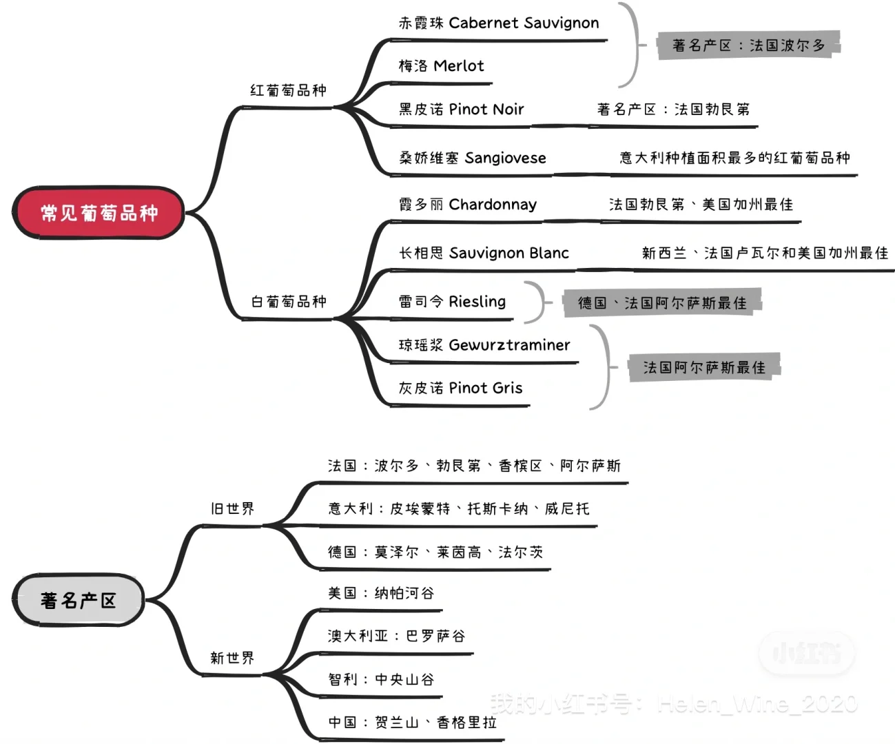 ?红酒小课堂 | 一篇秒懂葡萄酒?