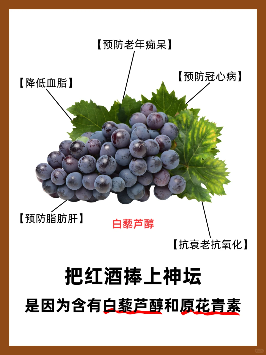 喝适量葡萄酒有益健康⁉️