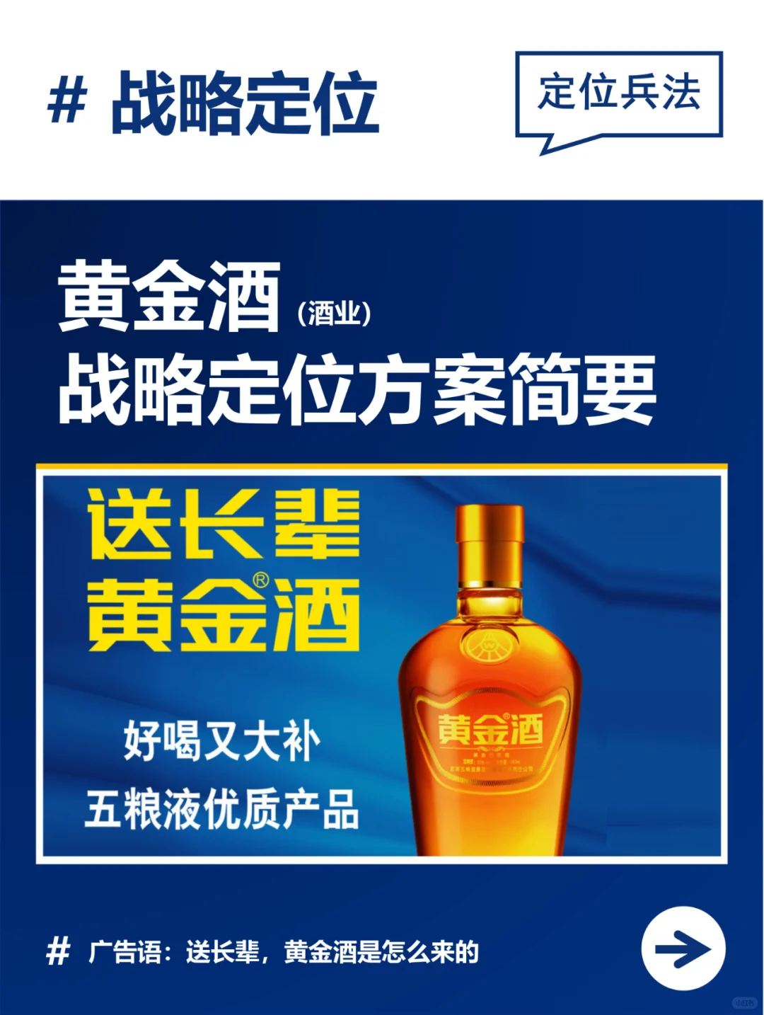 《黄金酒（酒业）-战略定位方案简要》