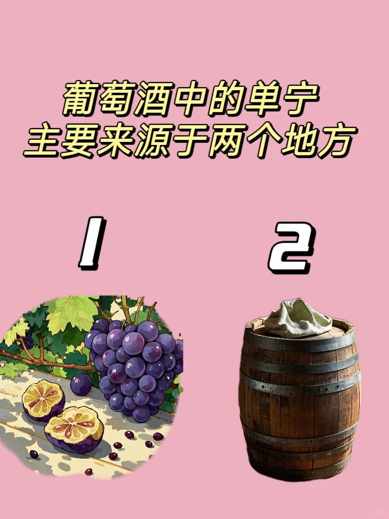 葡萄酒的前世今生(二)?关于单宁