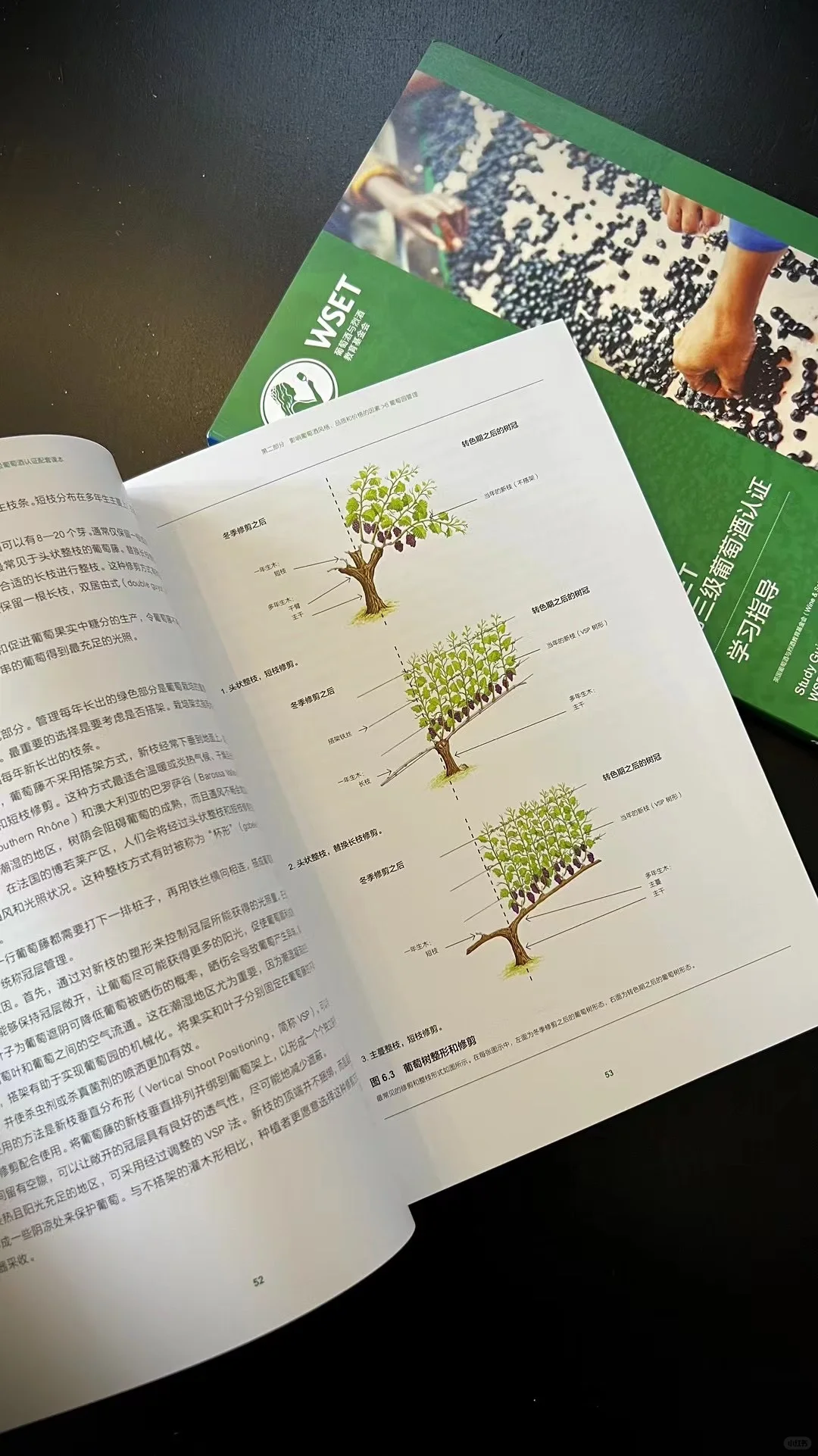 北京 WSET 3 级葡萄酒认证课 ，开启大师之旅