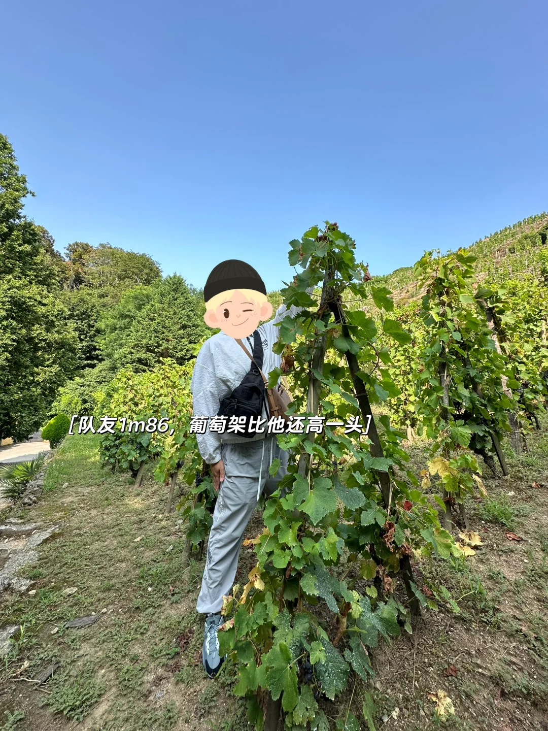 ??北隆：葡萄酒爱好者怎么玩？
