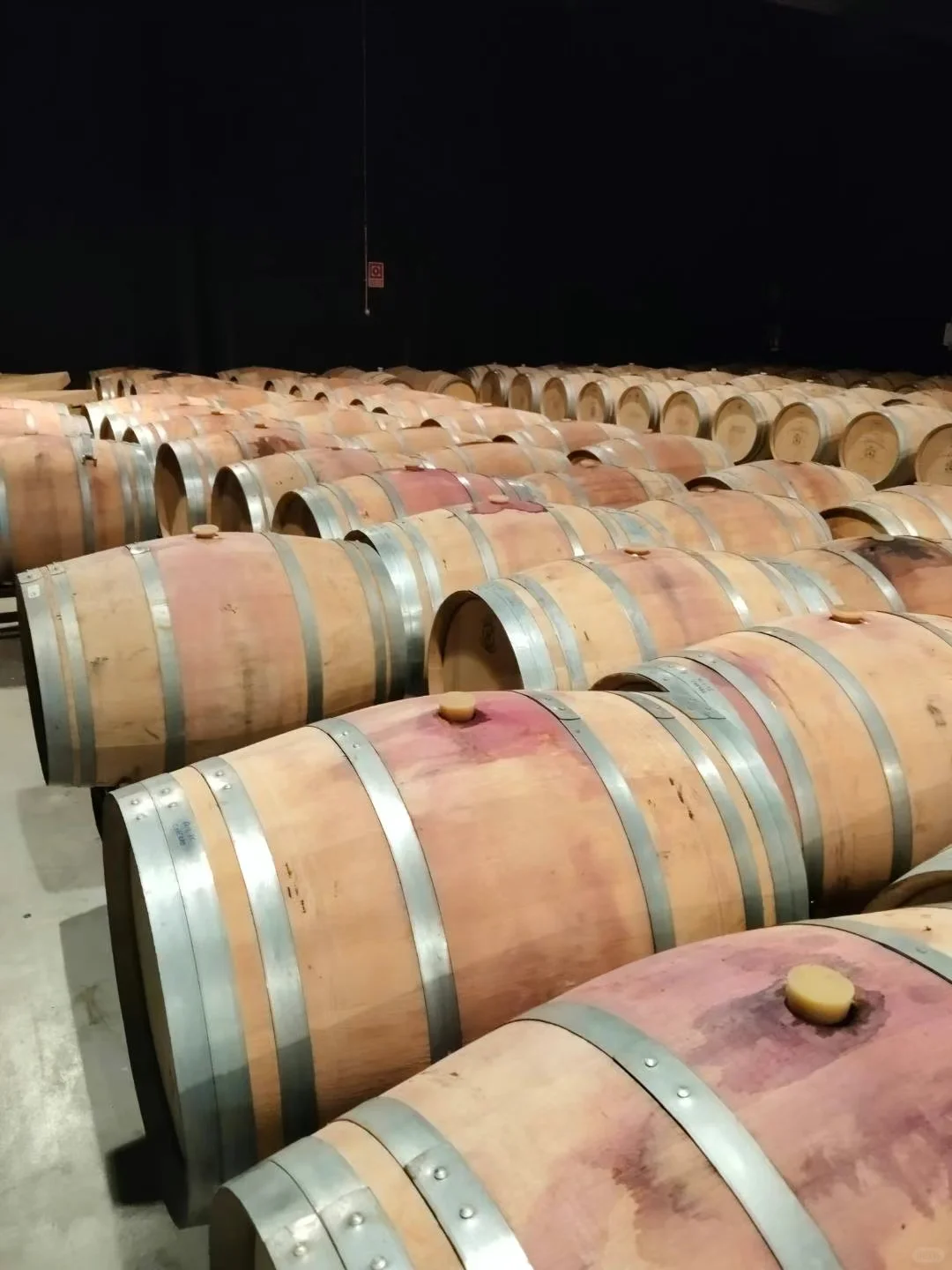 一共800个橡木桶满满的葡萄酒