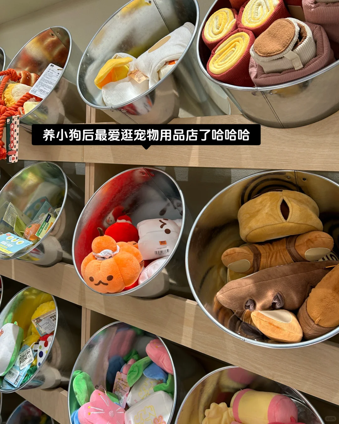 年后这波缺人太明显了：大健康外企大胆尝试！