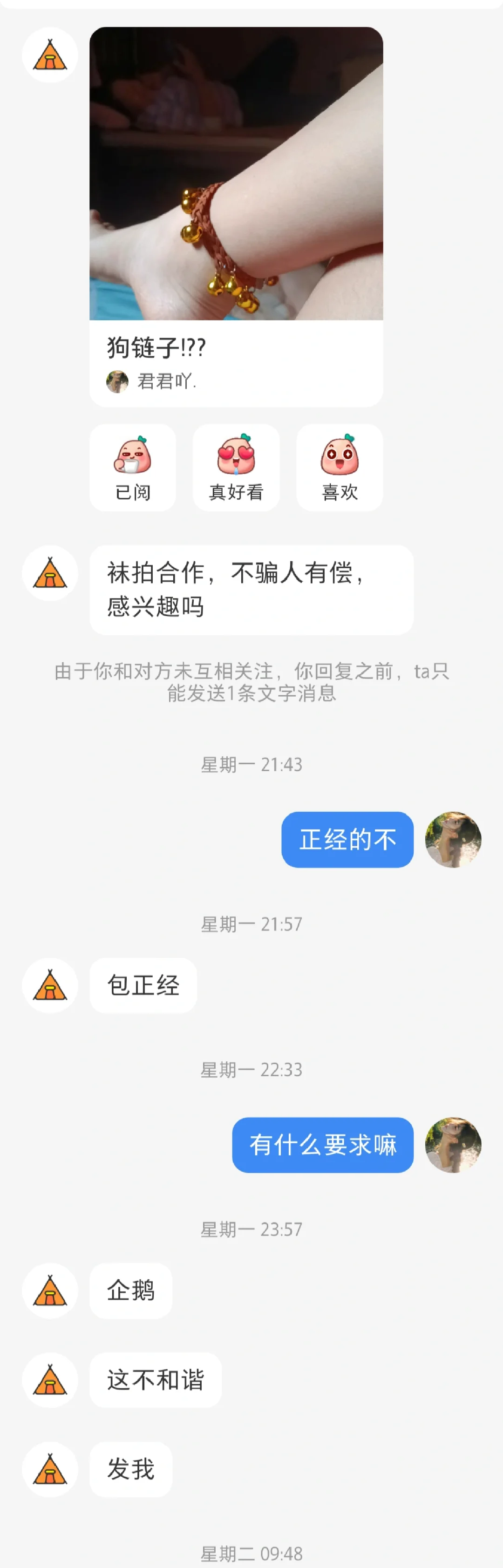 袜拍hz?