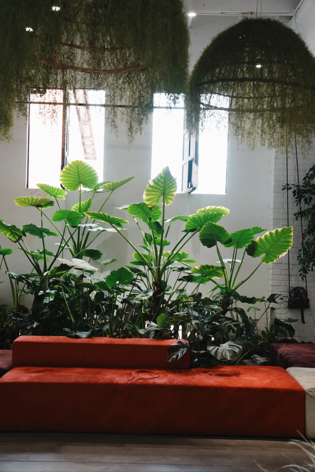 企业走访计划前采?物候设计WEHO DESIGN