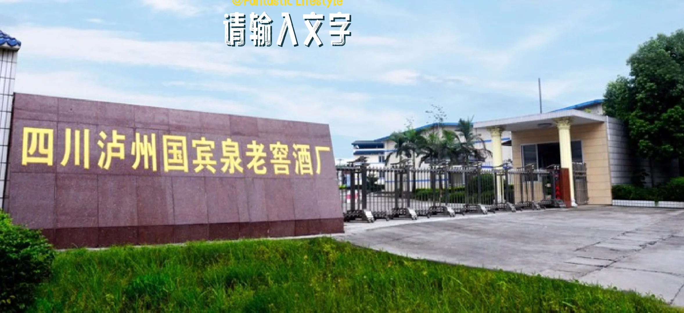 大酒厂招商
