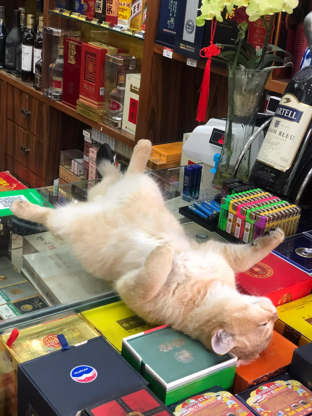广州实体烟酒店｜二十三周年‼️