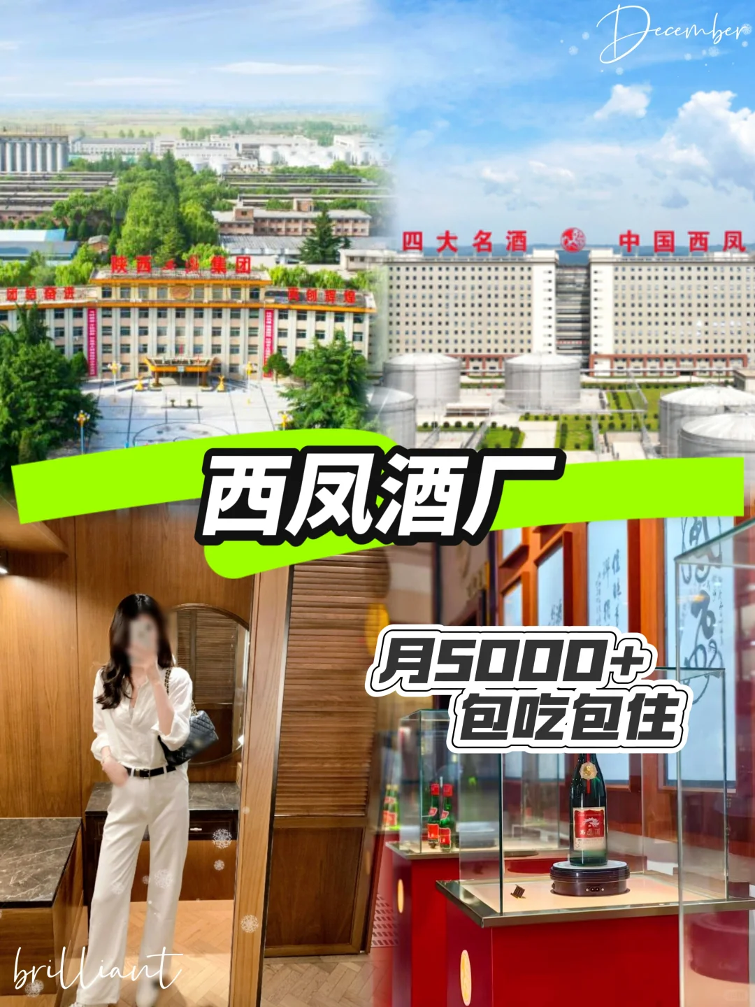 西凤酒厂行政｜技术包吃包住要人！