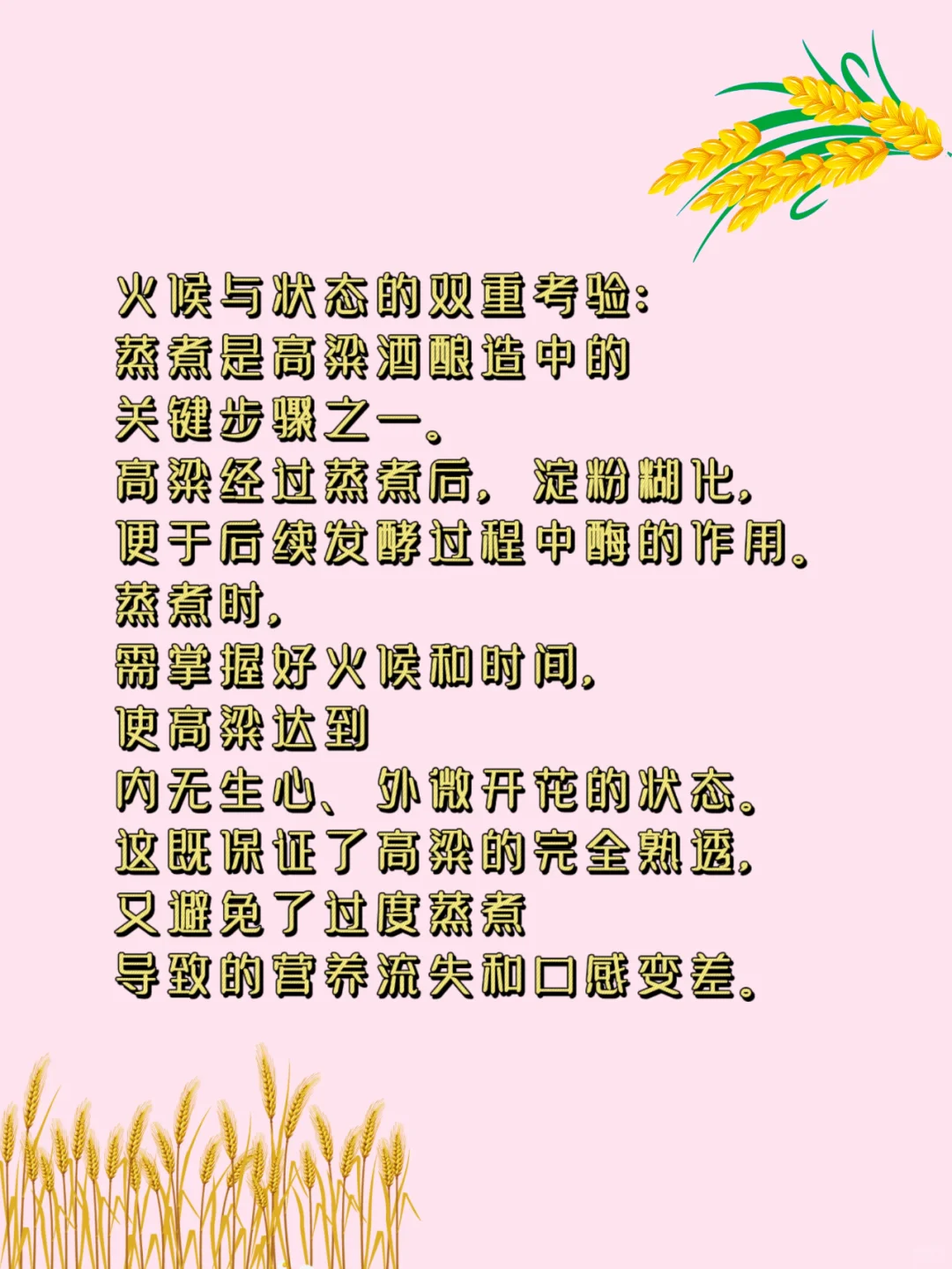 白酒冷知识大公开|高粱酒这样酿造才好喝？