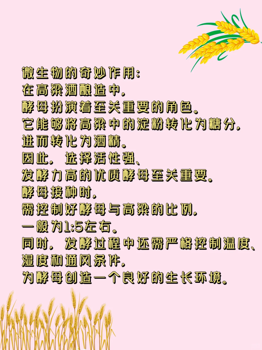 白酒冷知识大公开|高粱酒这样酿造才好喝？