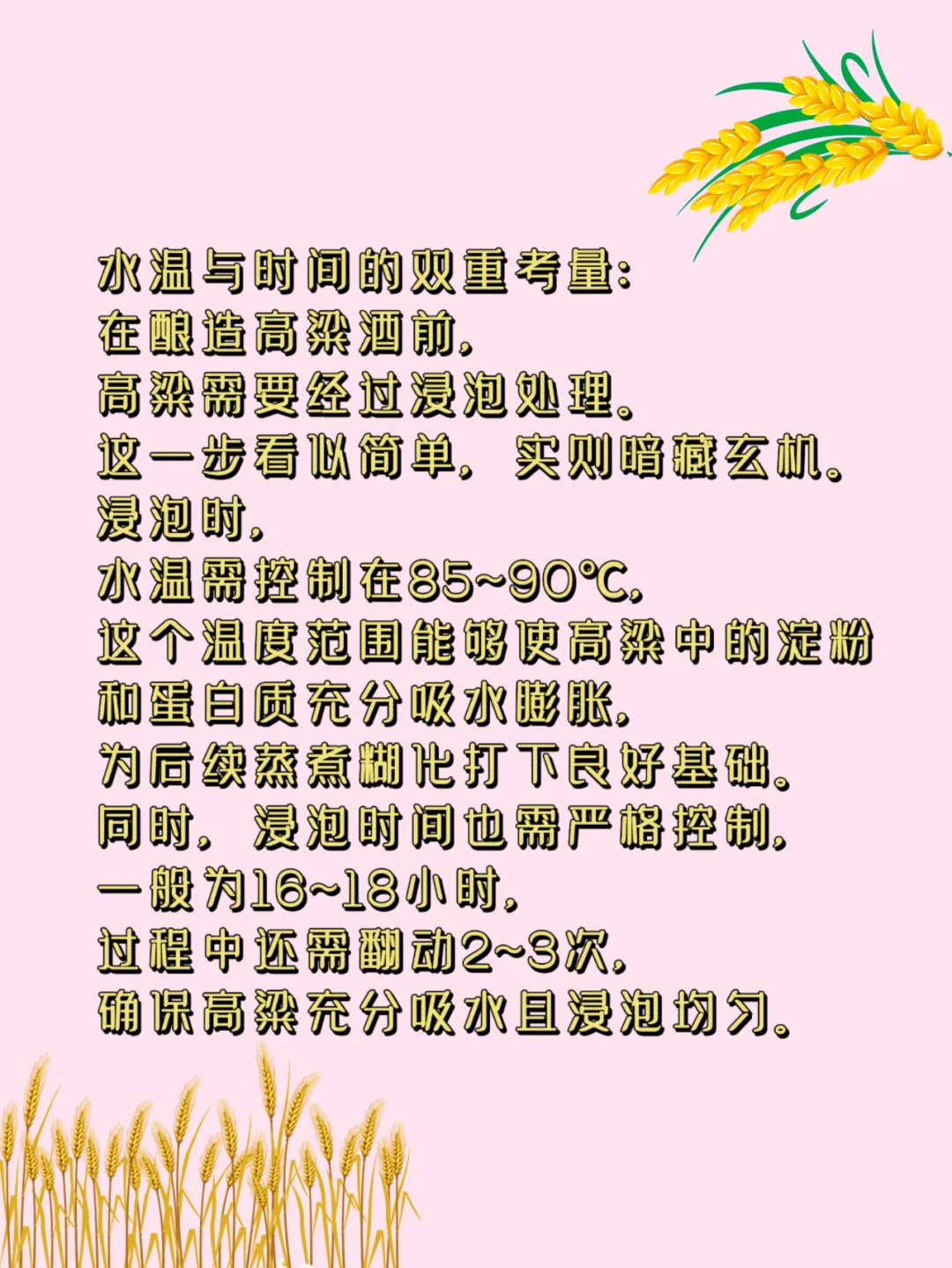 白酒冷知识大公开|高粱酒这样酿造才好喝？