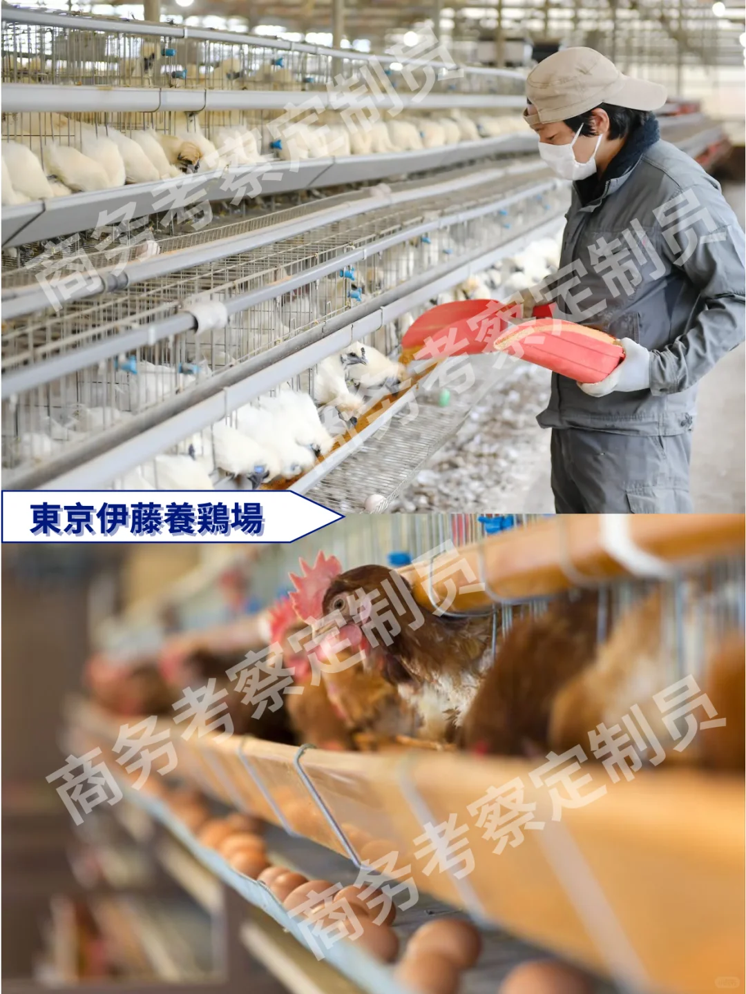 考察回顾——日本食品加工厂商务考察