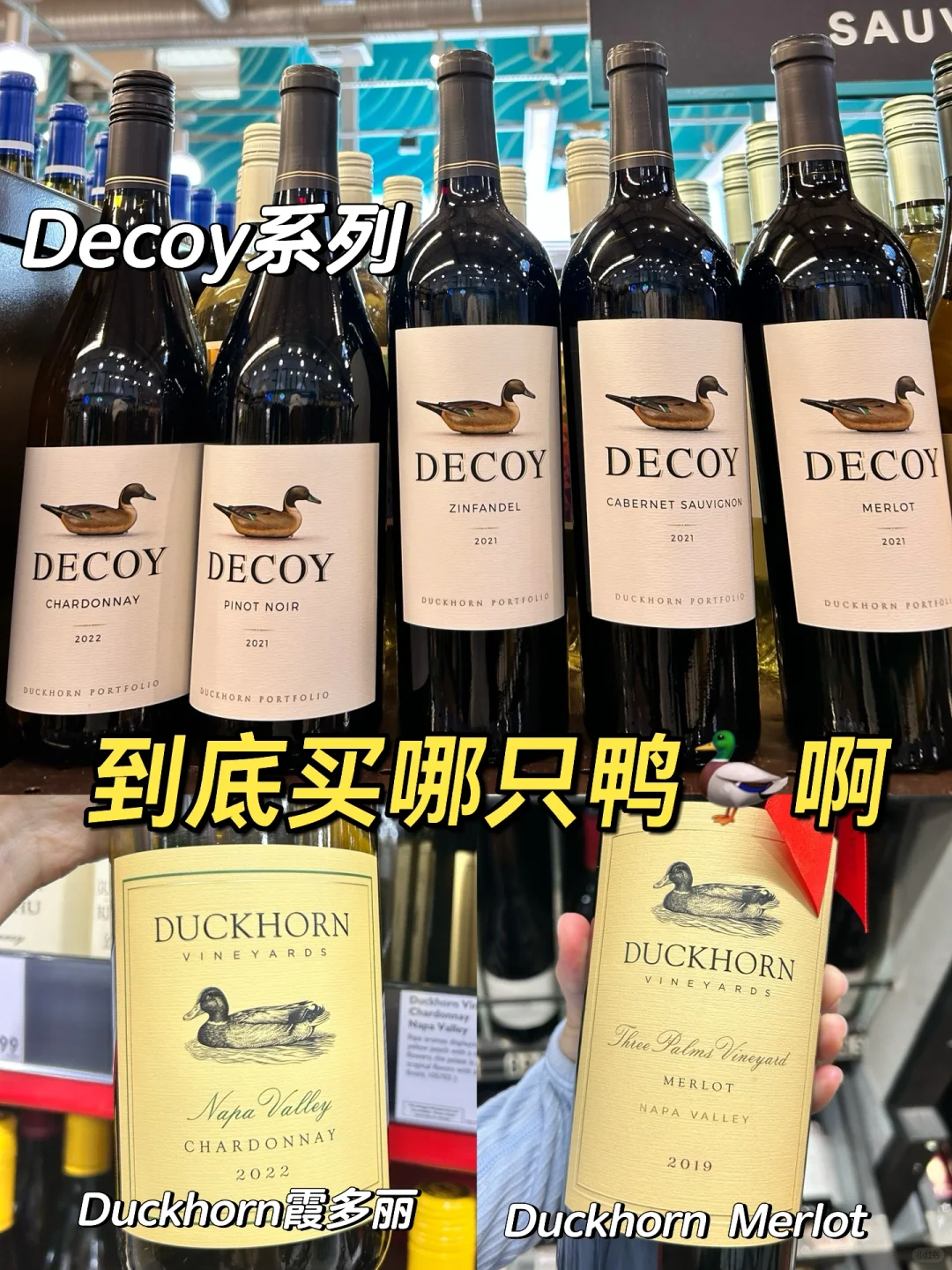 美国最名声大噪的?鸭子到底是买哪种啊？