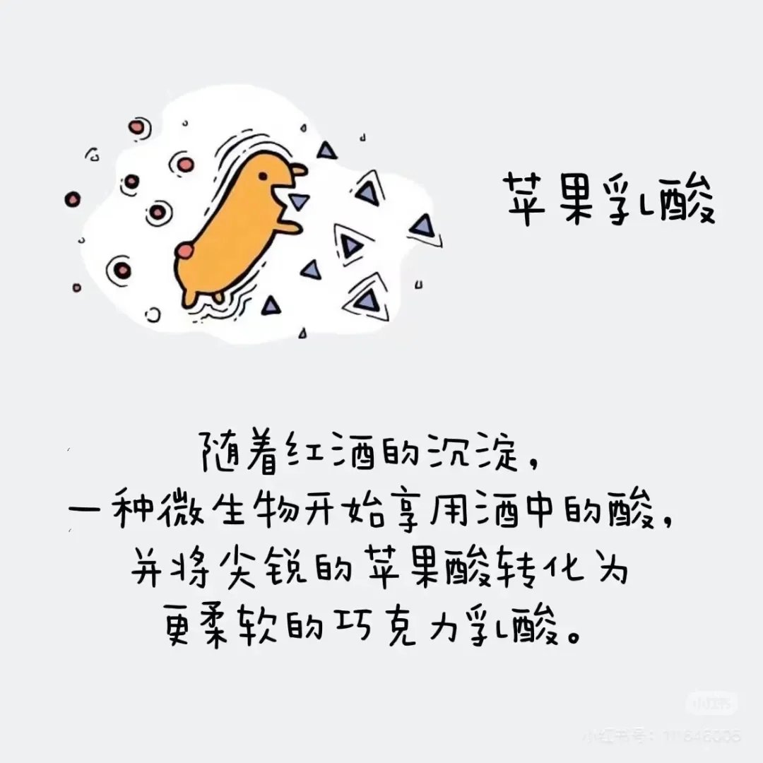葡萄酒酒精度最高都是在15°左右？（下篇）