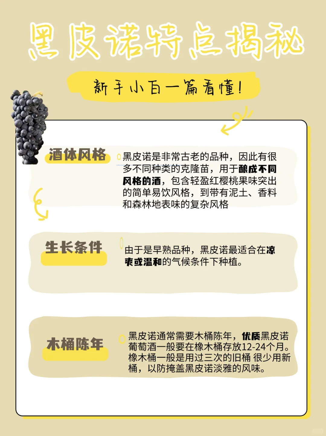 一篇文教你选对黑皮诺～附赠不会出错的酒单