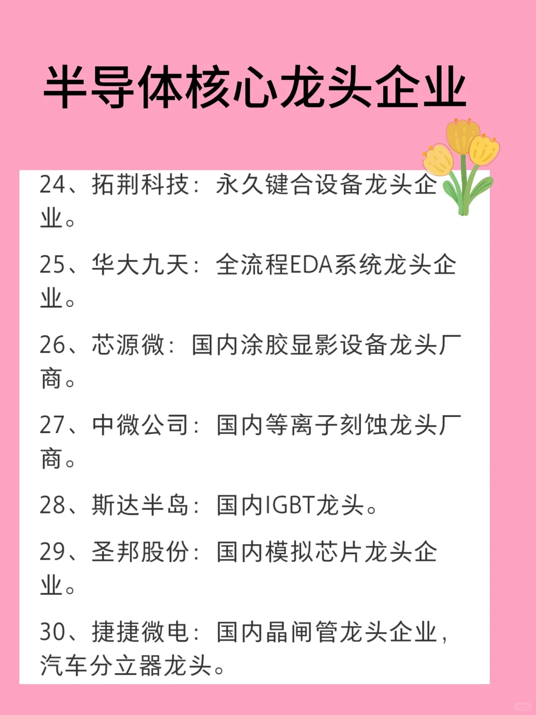 半导体核心龙头企业