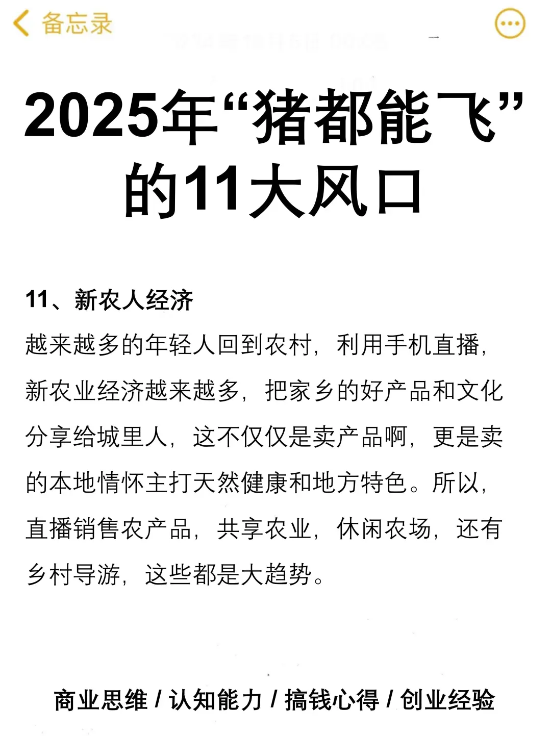 2025年“猪都能飞”的11大风口