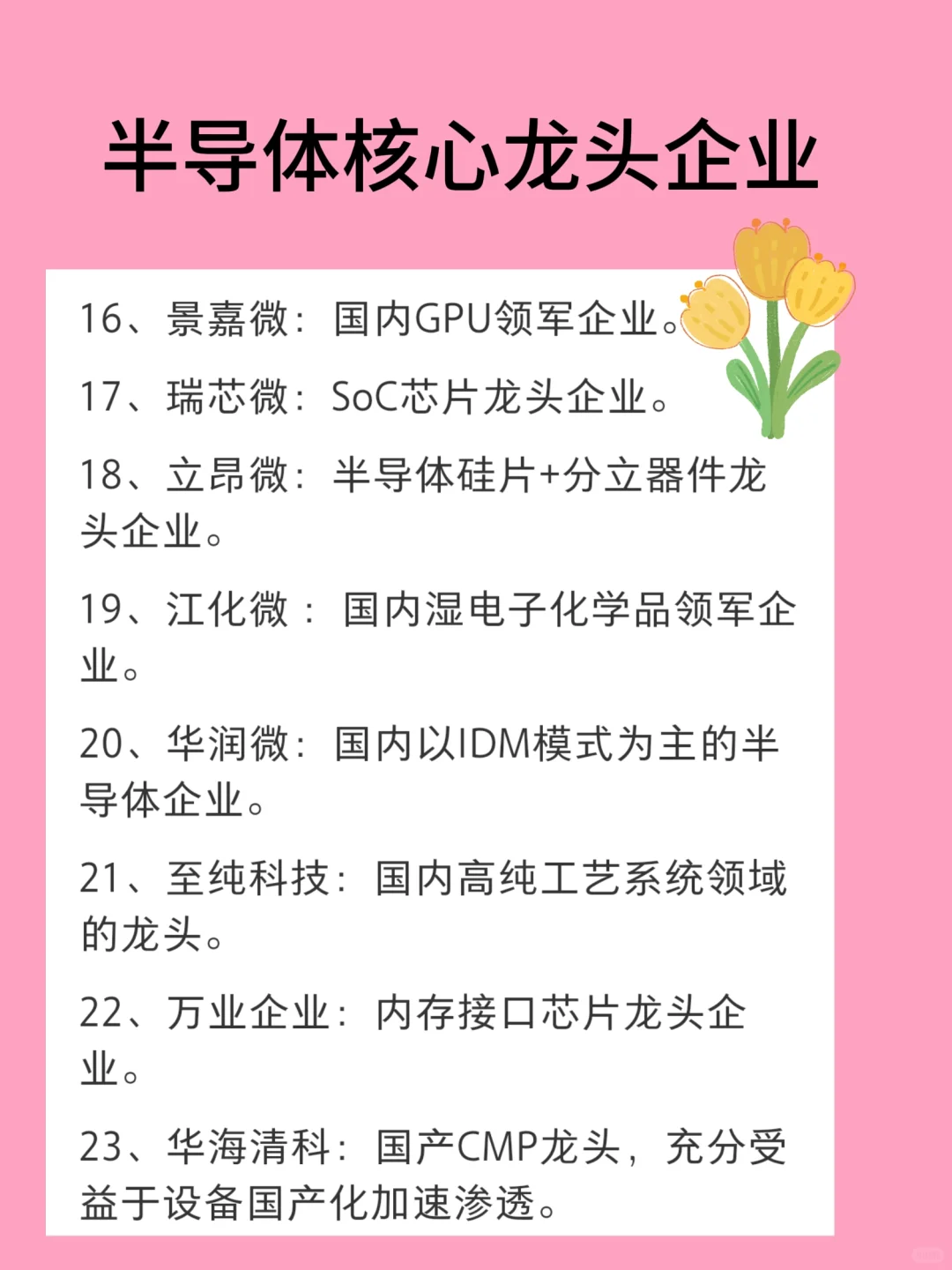 半导体核心龙头企业