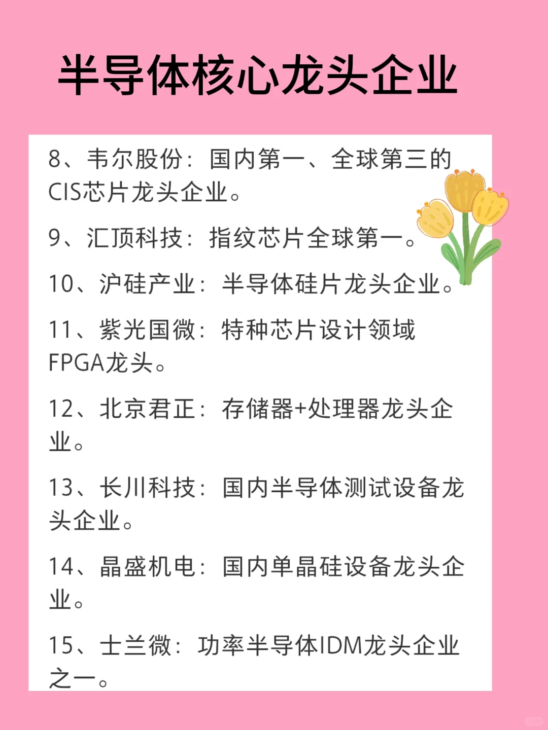 半导体核心龙头企业