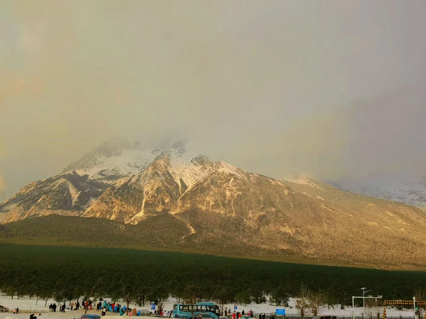 No.866 #对行业越专业，越具备生存能力