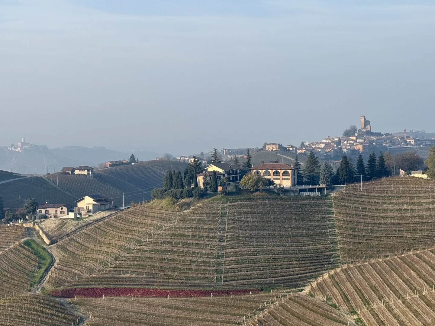 世界葡萄酒名产区———皮埃蒙特（Piedmont）
