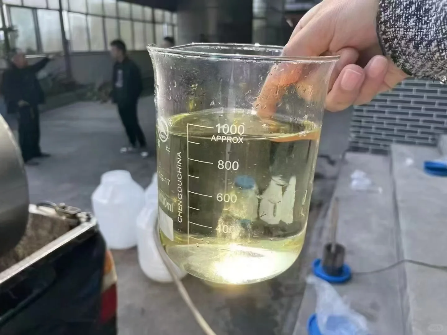 散酒才是王道，其他都是广告