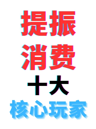 政策落地提振消费，十大核心玩家
