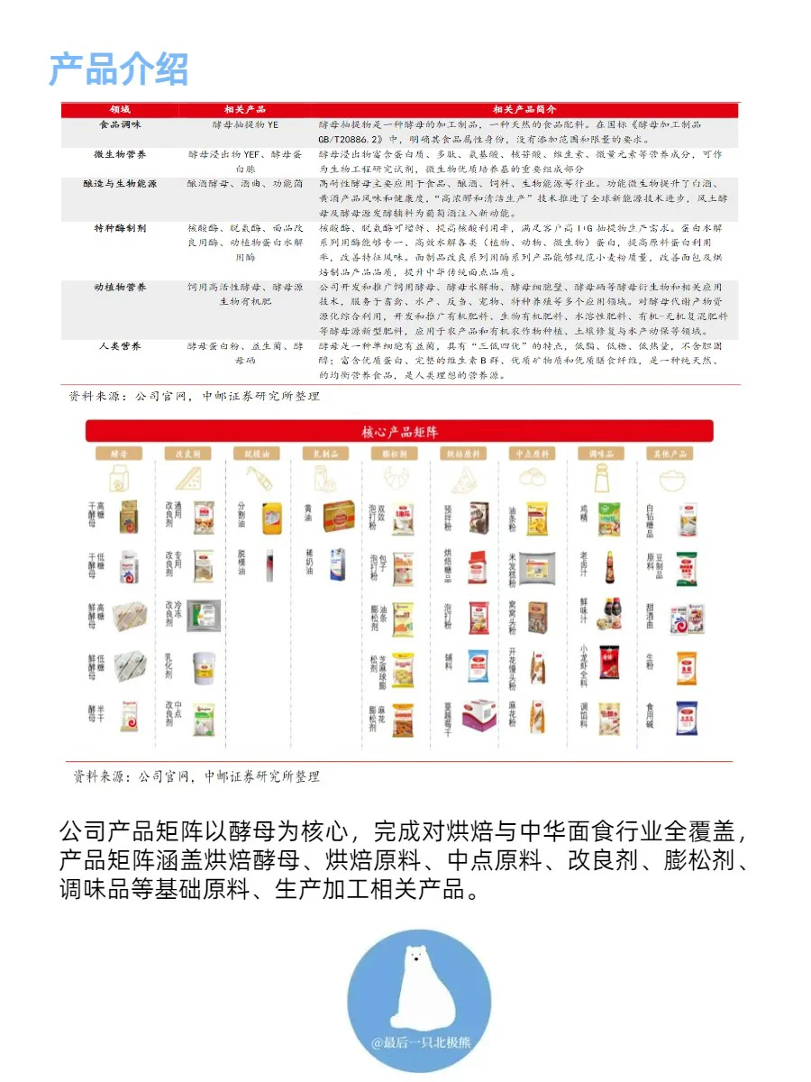 全宇宙最好的酵母公司