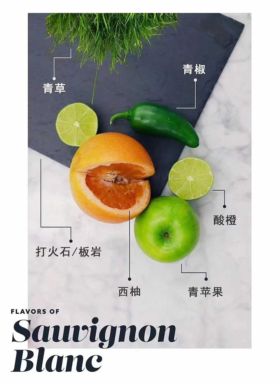 葡萄酒避坑指南?三招教你成达人