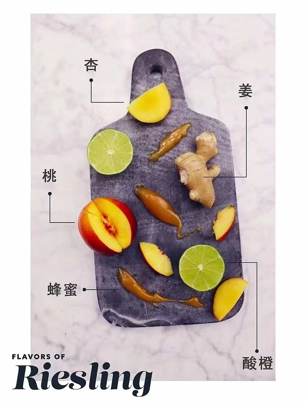 葡萄酒避坑指南?三招教你成达人
