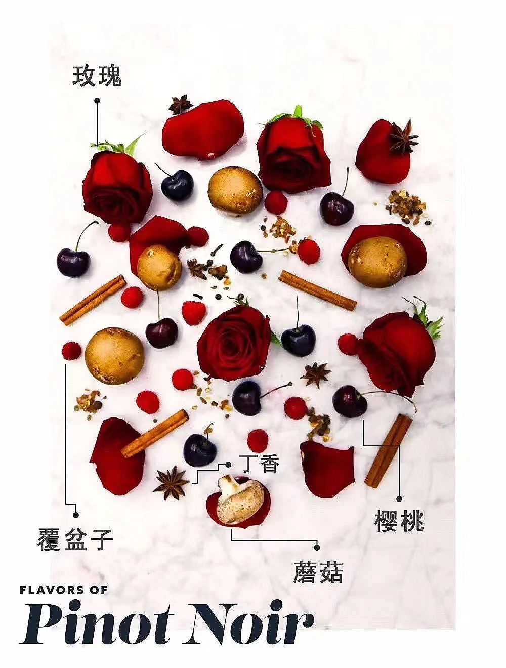 葡萄酒避坑指南?三招教你成达人