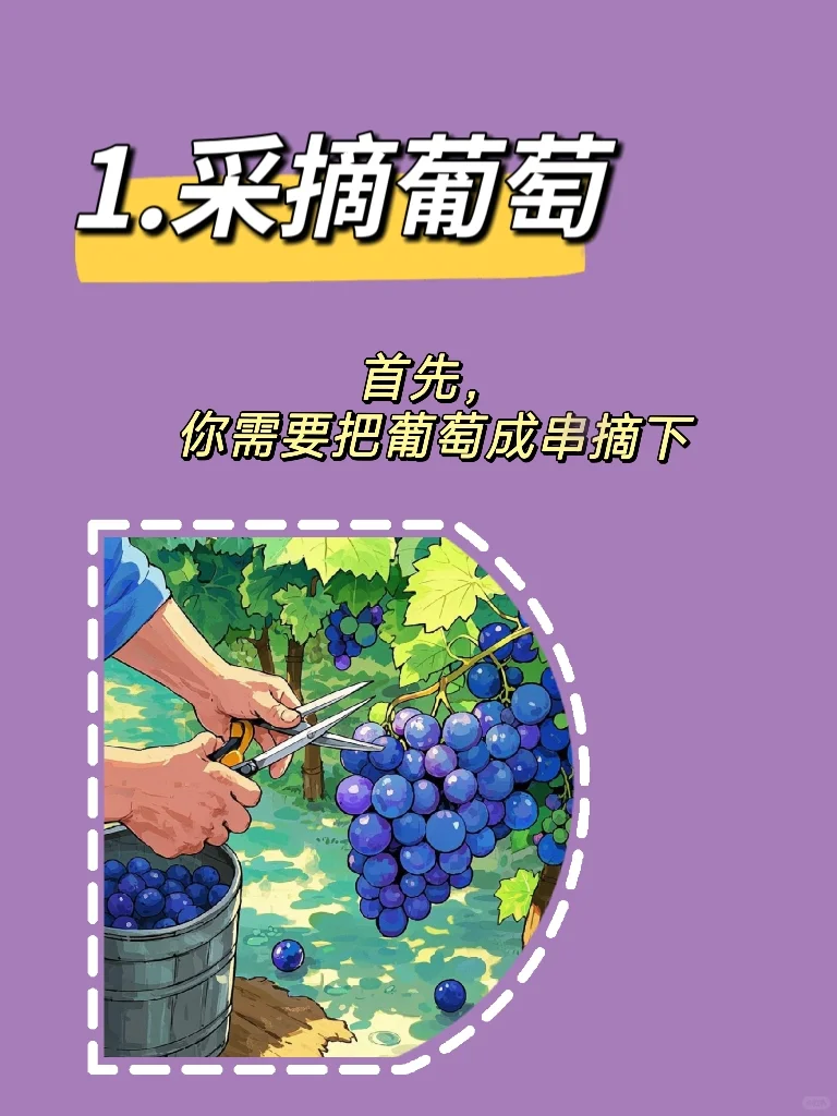 葡萄酒的前世今生(四)?葡萄酒的酿造过程