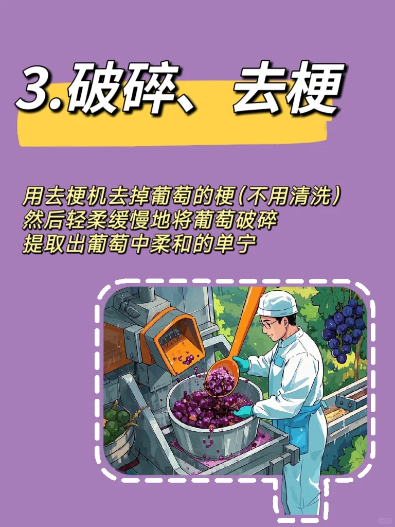 葡萄酒的前世今生(四)?葡萄酒的酿造过程